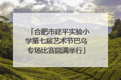 合肥市建平实验小学第七届艺术节巴乌专场比赛圆满举行