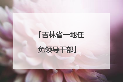 吉林省一地任免领导干部