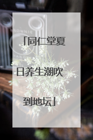 同仁堂夏日养生潮吹到地坛