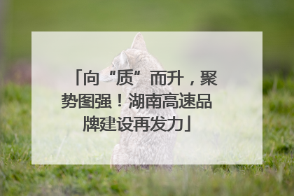 向“质”而升，聚势图强！湖南高速品牌建设再发力