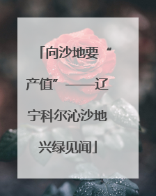 向沙地要“产值”——辽宁科尔沁沙地兴绿见闻