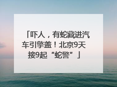 吓人，有蛇藏进汽车引擎盖！北京9天接9起“蛇警”