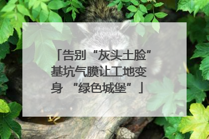 告别“灰头土脸” 基坑气膜让工地变身 “绿色城堡”