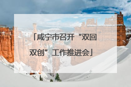 咸宁市召开“双回双创”工作推进会