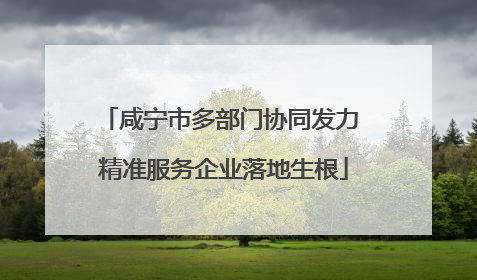 咸宁市多部门协同发力 精准服务企业落地生根