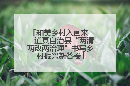 和美乡村入画来——道真自治县“两清两改两治理”书写乡村振兴新答卷