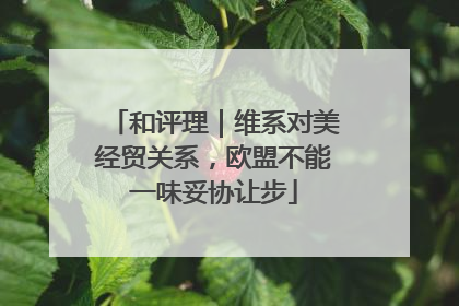 和评理｜维系对美经贸关系，欧盟不能一味妥协让步