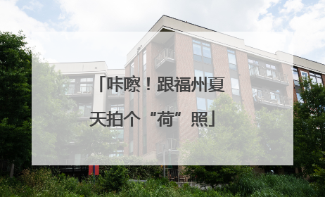 咔嚓！跟福州夏天拍个“荷”照