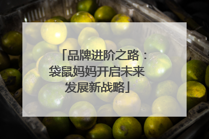 品牌进阶之路：袋鼠妈妈开启未来发展新战略