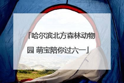 哈尔滨北方森林动物园 萌宝陪你过六一
