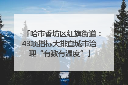 哈市香坊区红旗街道：43项指标大排查城市治理“有数有温度”