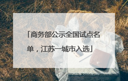 商务部公示全国试点名单，江苏一城市入选
