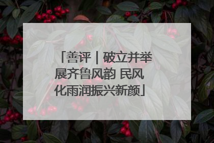 善评｜破立并举展齐鲁风韵 民风化雨润振兴新颜