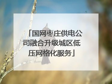国网枣庄供电公司融合升级城区低压网格化服务