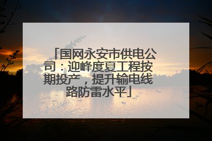 国网永安市供电公司：迎峰度夏工程按期投产，提升输电线路防雷水平