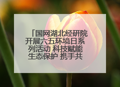 国网湖北经研院开展六五环境日系列活动 科技赋能生态保护 携手共建绿色电网