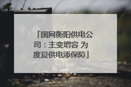 国网衡阳供电公司：主变增容 为度夏供电添保障