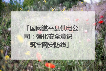 国网遂平县供电公司：强化安全意识 筑牢网安防线