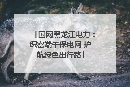 国网黑龙江电力：织密端午保电网 护航绿色出行路