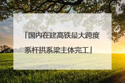 国内在建高铁最大跨度系杆拱系梁主体完工