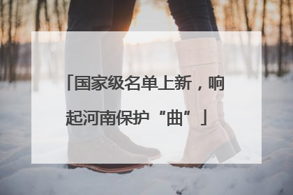 国家级名单上新，响起河南保护“曲”