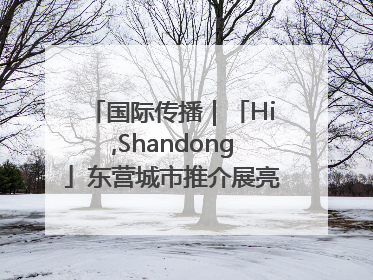 国际传播｜「Hi,Shandong」东营城市推介展亮相“从蒙马特到加里波第”文化节