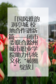 国风雅韵润亭城 校地合作谱新篇——团市委联合滁州城市职业学院助力传统文化“破圈”绽放