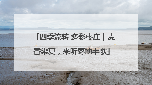 四季流转 多彩枣庄｜麦香染夏，来听枣地丰歌