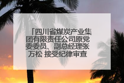 四川省煤炭产业集团有限责任公司原党委委员、副总经理张万松 接受纪律审查和监察调查