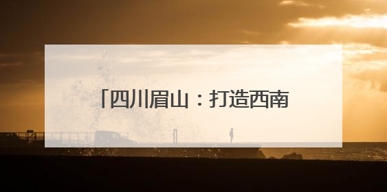 四川眉山：打造西南天府国际物流枢纽
