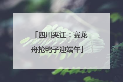 四川夹江：赛龙舟抢鸭子迎端午