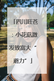 四川旺苍：小花菇激发致富大“蘑力”