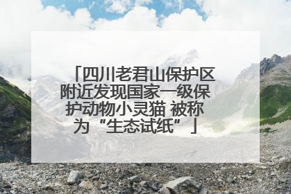 四川老君山保护区附近发现国家一级保护动物小灵猫 被称为“生态试纸”