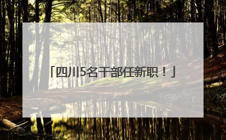 四川5名干部任新职！