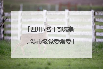 四川5名干部履新，涉市级党委常委