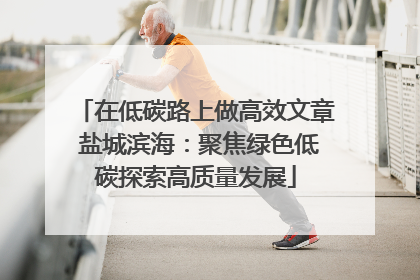 在低碳路上做高效文章 盐城滨海：聚焦绿色低碳探索高质量发展