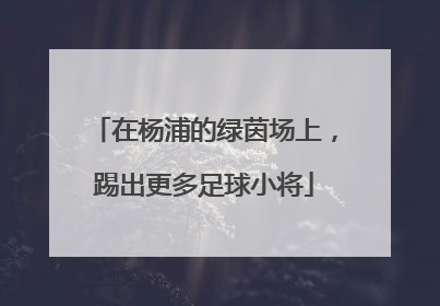 在杨浦的绿茵场上，踢出更多足球小将