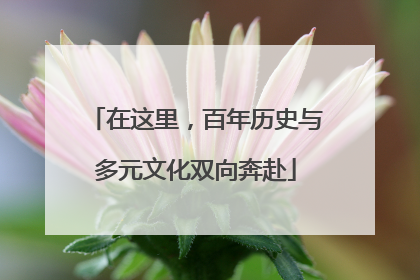 在这里，百年历史与多元文化双向奔赴