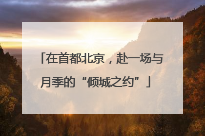 在首都北京，赴一场与月季的“倾城之约”