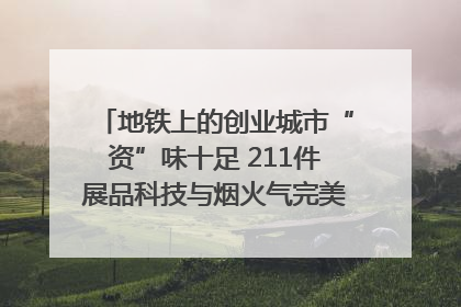 地铁上的创业城市“资”味十足 211件展品科技与烟火气完美融合｜西博视界