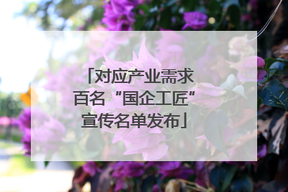对应产业需求 百名“国企工匠”宣传名单发布