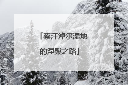 察汗淖尔湿地的涅槃之路