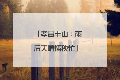 孝昌丰山：雨后天晴插秧忙