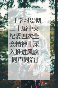 学习贯彻二十届中央纪委四次全会精神丨深入推进风腐同查同治
