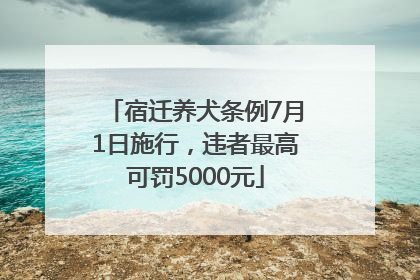 宿迁养犬条例7月1日施行，违者最高可罚5000元