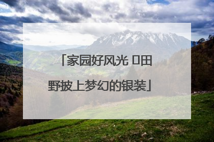 家园好风光 ⎮田野披上梦幻的银装