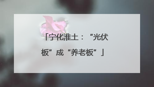 宁化淮土：“光伏板”成“养老板”