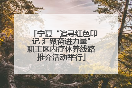 宁夏“追寻红色印记 汇聚奋进力量”职工区内疗休养线路推介活动举行