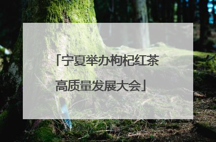 宁夏举办枸杞红茶高质量发展大会