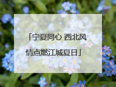 宁夏同心 西北风情点燃江城夏日